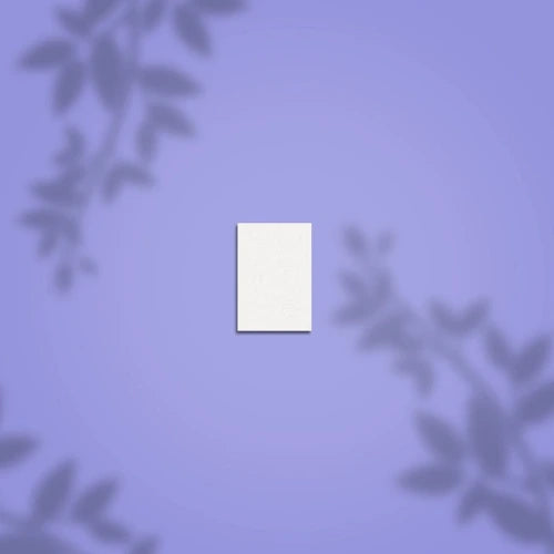 BUFFER RECTANGULAR MINI EXPERT  100/180 GRIT 20 UNID