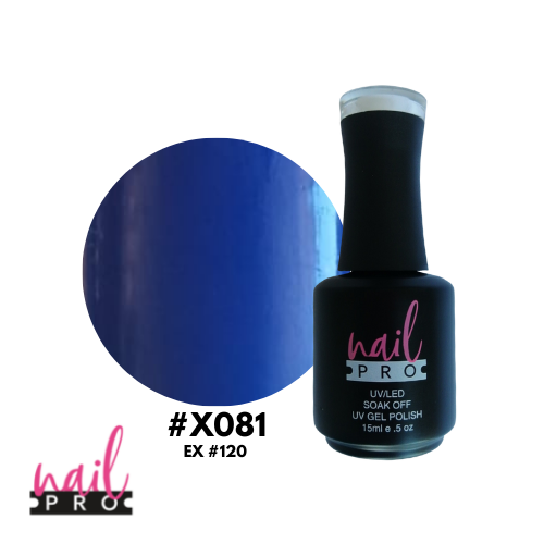 X081
